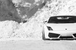 Lamborghini Gallardo LP560-4 2008 года